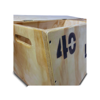 Banco Plano Baúl Y Organizador Discos Preolímpicos Gym