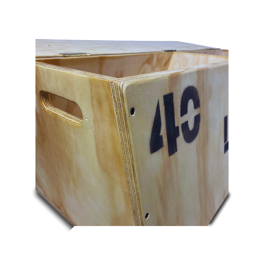 Banco Plano Baúl Y Organizador Discos Preolímpicos Gym