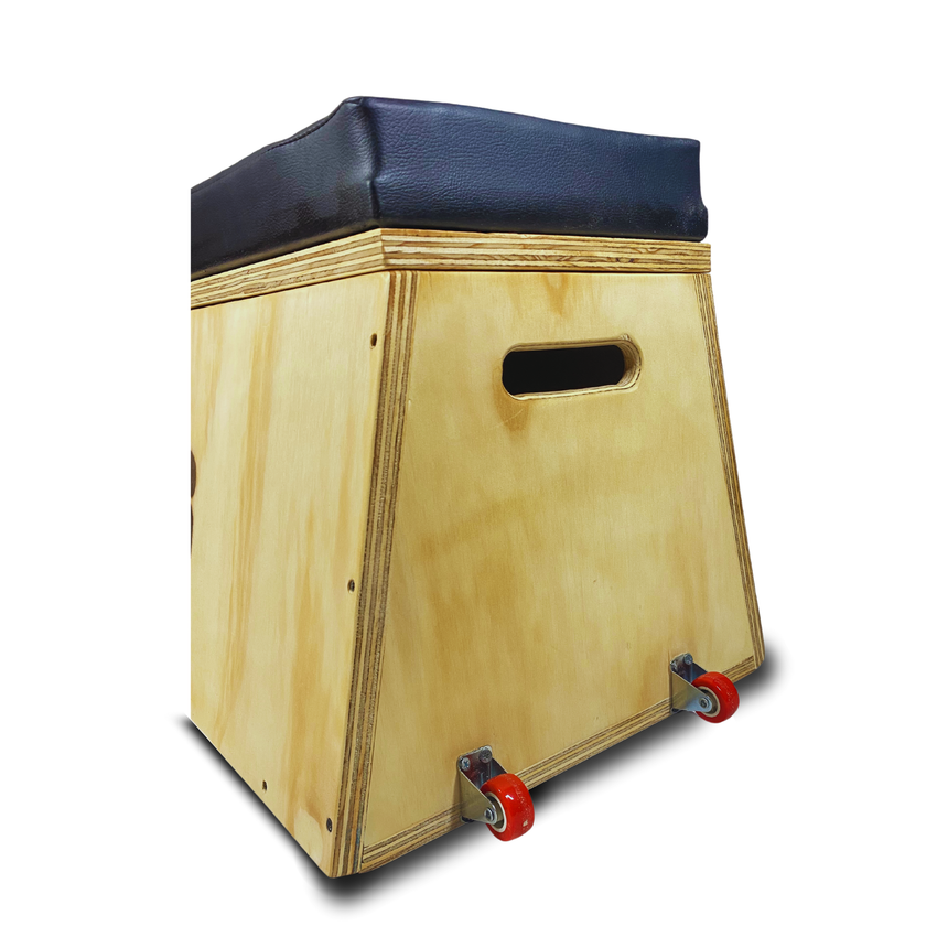 Banco Plano Baúl Y Organizador Discos Preolímpicos Gym