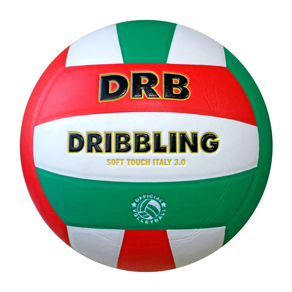 Balones voleibol